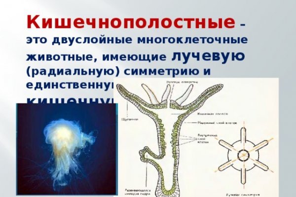 Как открыть кракен