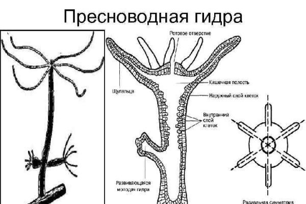 Кракен даркнет аккаунт